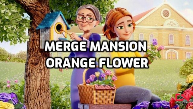 Merge Mansion Orange Flower, How to Get