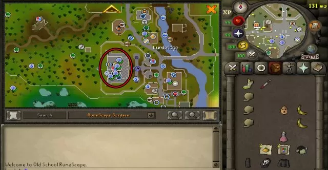 Duke Horacio location OSRS