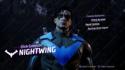 Nightwing Gotham Knights