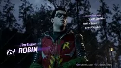 Robin Gotham Knights