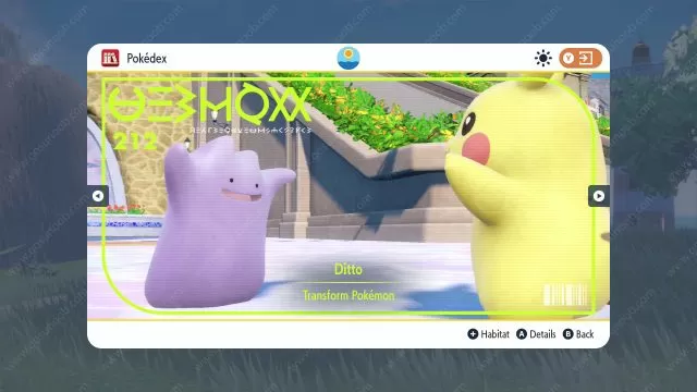Catch Ditto Pokemon Scarlet and Violet