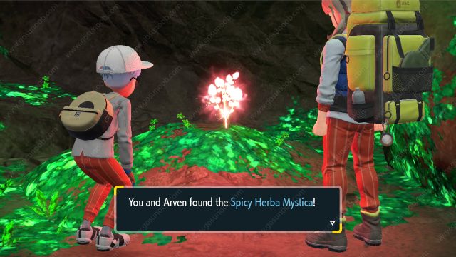 Spicy Herba Mystica Pokemon Scarlet and Violet