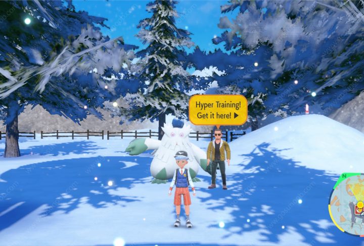 pokemon scarlet and violet hyper training