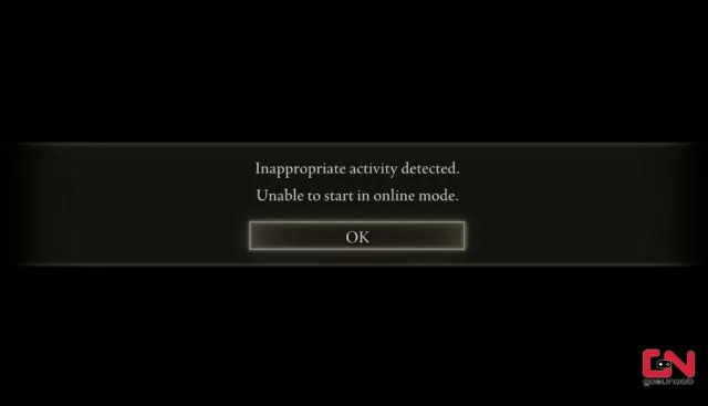 Elden Ring Inappropriate Activity Detected Fix