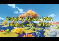 Genshin Impact Wish History Error 2022