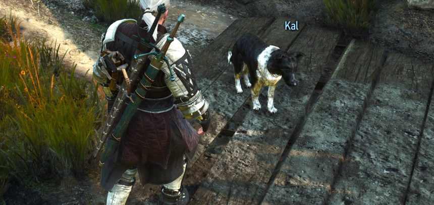 Henry Cavill's Dog Kal Location in The Witcher 3 Next-Gen
