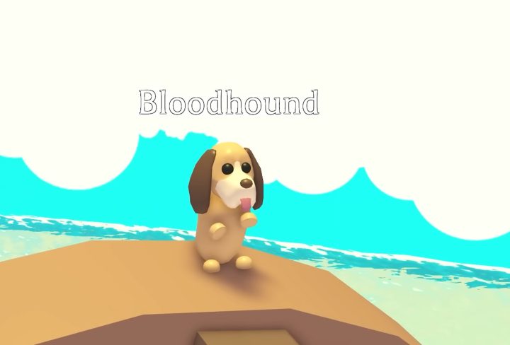 Adopt Me Bloodhound Pet 2023