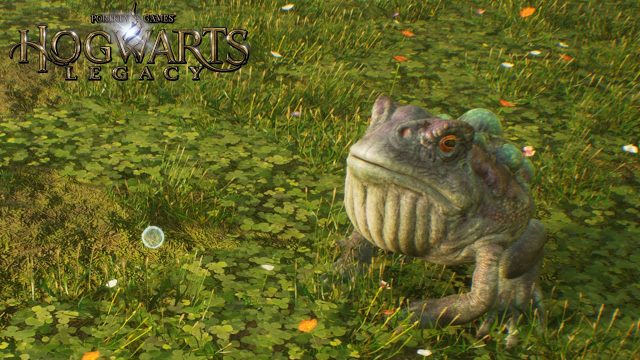 Hogwarts Legacy Giant Purple Toad Locations