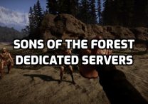 Sons Of The Forest Dedicated Servers