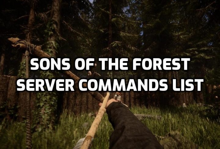 Sons of the Forest Server Commands List, Admin Console