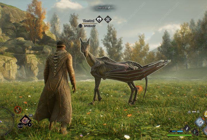 hogwarts legacy thestral locations