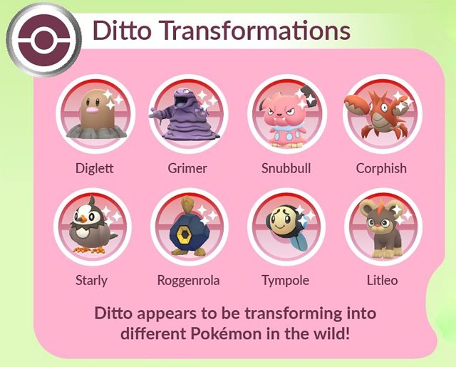 Ditto Transformation in Pokemon Go