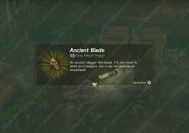 Ancient-Blade-Zelda-Tears-of-the-Kingdom