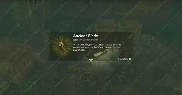 Ancient-Blade-Zelda-Tears-of-the-Kingdom