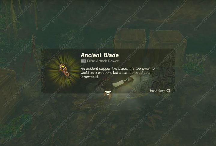 Ancient-Blade-Zelda-Tears-of-the-Kingdom