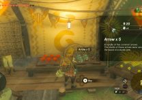 Buy Unlimited Arrows Zelda Tears of the Kingdom