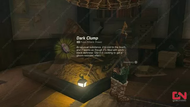 Dark Clump Zelda TOTK Gloom Resistance