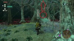 Where is the entrance to the Lost Woods in Zelda TOTK
