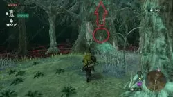 Where is the entrance to the Lost Woods in Zelda TOTK