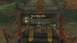 Fierce Deity Armor Zelda TOTK