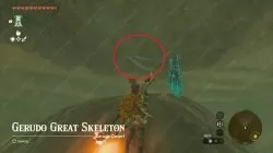 Gerudo's Colossal Fossil Zelda TOTK