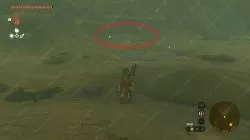 Gerudo's Colossal Fossil Zelda TOTK Location