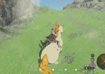Giant White Stallion Location Zelda Tears of the Kingdom