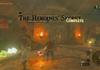 Heroines' Secret Zelda Tears of the Kingdom, Stelae Locations