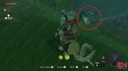 Where to Find All Hestu Locations Zelda Tears of the Kingdom