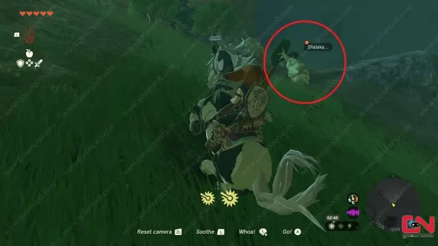 Where to Find All Hestu Locations Zelda Tears of the Kingdom