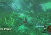 How to Enter Korok Forest Zelda Tears of the Kingdom