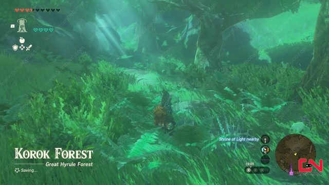 How to Enter Korok Forest Zelda Tears of the Kingdom