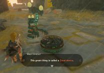 How to Use Zonai Device For a Raft Zelda Tears of the Kingdom