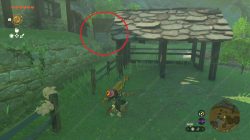 How to Find Zelda’s Secret Room in TOTK