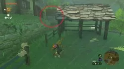 How to Find Zelda’s Secret Room in TOTK