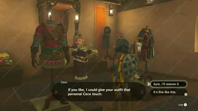 Hylian Hood Down Zelda Tears of the Kingdom