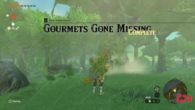 Hylian Rice, Gourmets Gone Missing Zelda Tears of the Kingdom