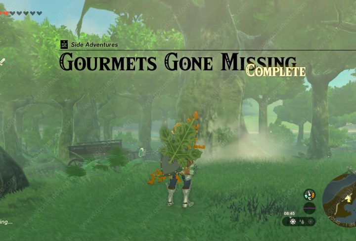 Hylian Rice, Gourmets Gone Missing Zelda Tears of the Kingdom