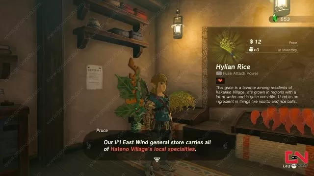 Where to find Hylian Rice Zelda Tears of the Kingdom