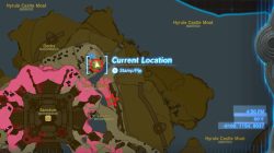 Where to Find the Hylian Shield Location in Zelda Tears of the Kingdom