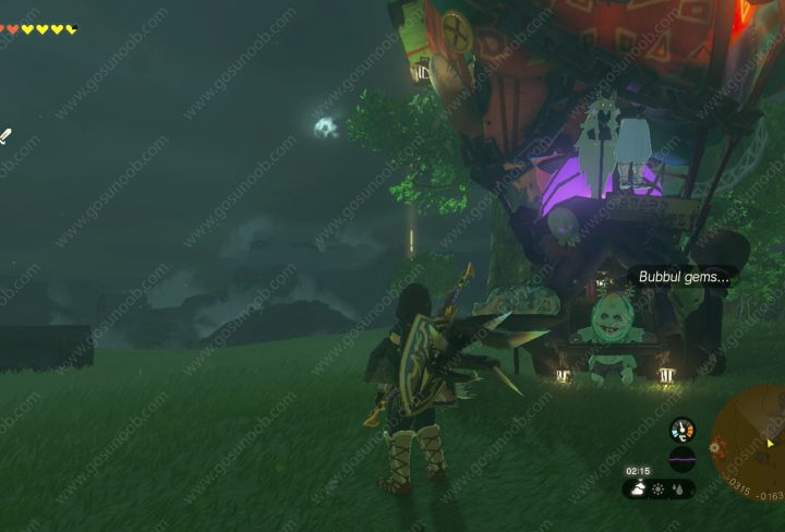 Koltin Locations Zelda TOTK, Search For Koltin