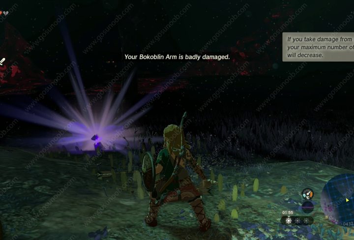 Repair Damaged Weapons Zelda Tears of the Kingdom
