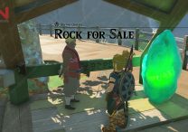 Rock for Sale TOTK Tarrey Town Crystal Hagie Weird Rock