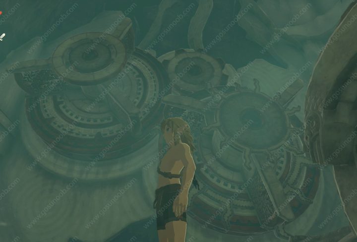 Room of Awakening Zelda Tears of the Kingdom First Room Puzzle
