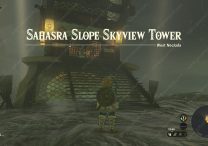 Sahasra Slope Skyview Tower Zelda TOTK, Cave & Mushrooms