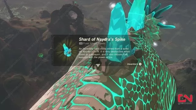 Shards of Naydra's Spike TOTK