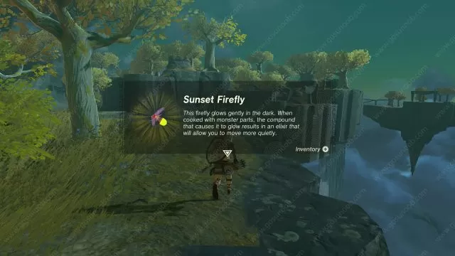 Sunset Firefly in Zelda TotK