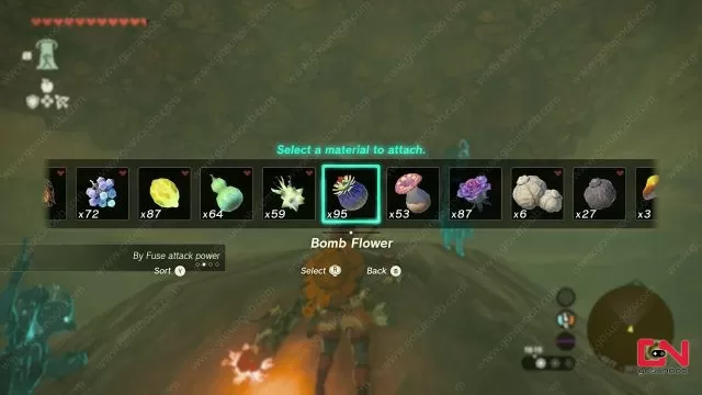 TOTK Farm Bomb Flower Locations Tears of the Kingdom