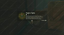 Tingle’s Tights Zelda TOTK