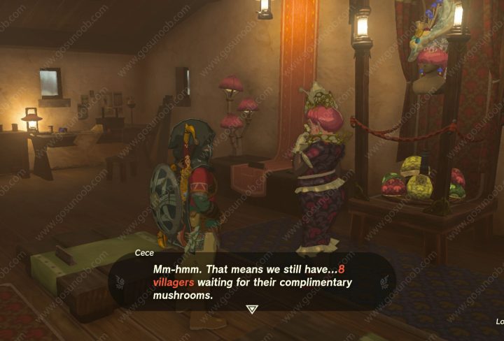 Team Cece or Team Reede Zelda Tears of the Kingdom